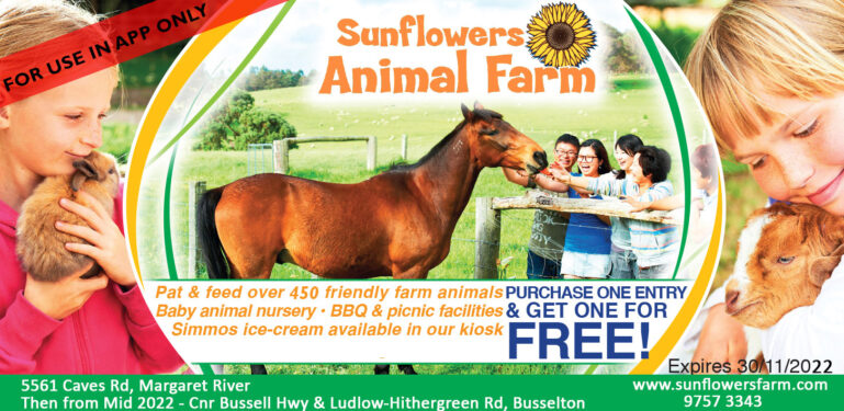 Sunflowers Animal Farm - LetsGoKids