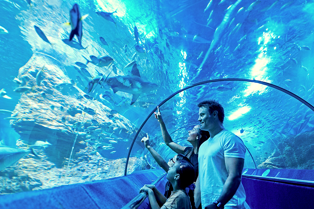 20201213_LAhillarys_021_WEB-edited